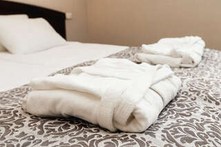 Гостиница Берлин Калининград Улучшенный номер с кроватью размера «king-size» или 2 отдельными кроватями-8