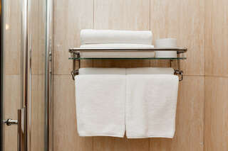 Гостиница Берлин Калининград Стандартный двухместный номер с 1 кроватью или 2 отдельными кроватями-14